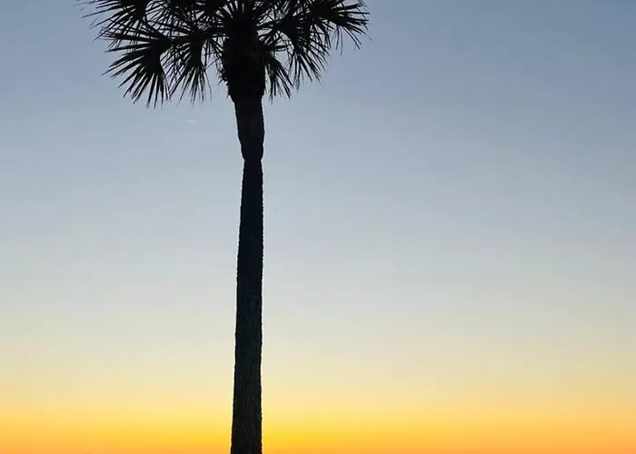 Casa rural "palms" Gulf-view Historic Retreat *
